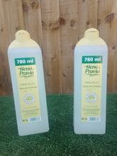 Load image into Gallery viewer, Heno De Pravia - Original
