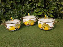 Load image into Gallery viewer, Lemon Enamel Pot Set 3 Pots And 3 Lids
